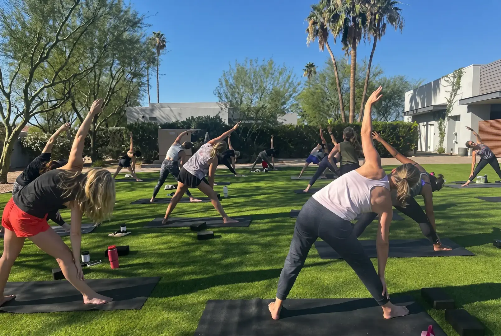 Group of people doing yoga on black mats in a sunny outdoor area with trees and modern buildings in the background.