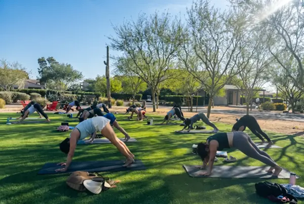 Group yoga class on a sunny lawn with mats, participants in downward-dog pose in a park setting